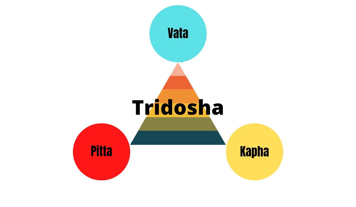 Ayurveda and Tridosha – We5 Ayurveda